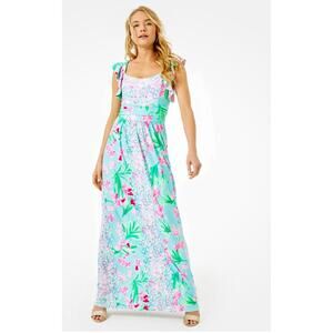 NWT Lilly Pulitzer Cristal Maxi Dress Isn't She lovely size XS